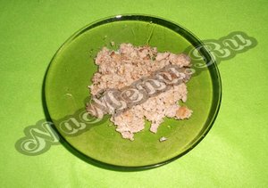 Обжареный фарш