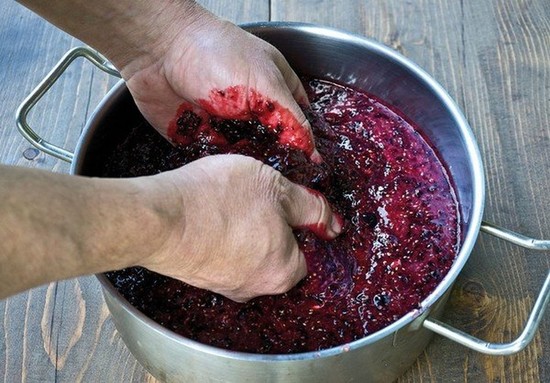 Вино из черной смородины в домашних условиях: простой рецепт с фото