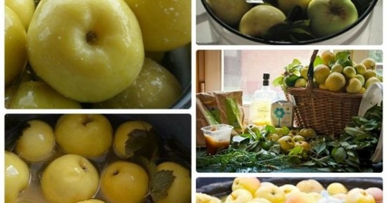 Как мочить яблоки антоновку на зиму в домашних условиях