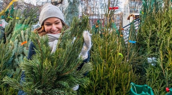 Елочные базары в Москве 2018, адреса