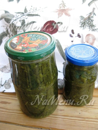 Щавель
