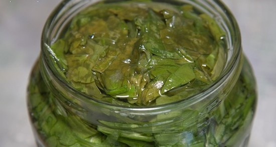 Щавель