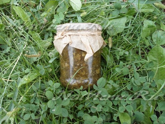 Щавель