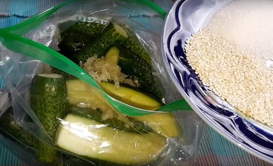Малосольные огурцы в пакете – быстрый рецепт с чесноком и укропом, пошагово