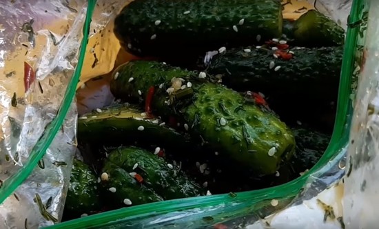 Малосольные огурцы в пакете – быстрый рецепт с чесноком и укропом, пошагово