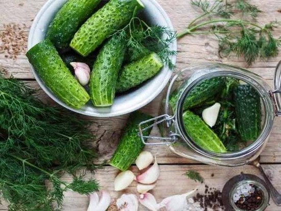 Малосольные огурцы в пакете – быстрый рецепт с чесноком и укропом, пошагово