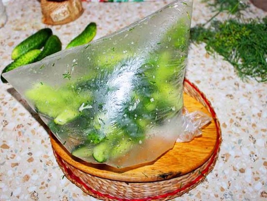 Малосольные огурцы в пакете – быстрый рецепт с чесноком и укропом, пошагово