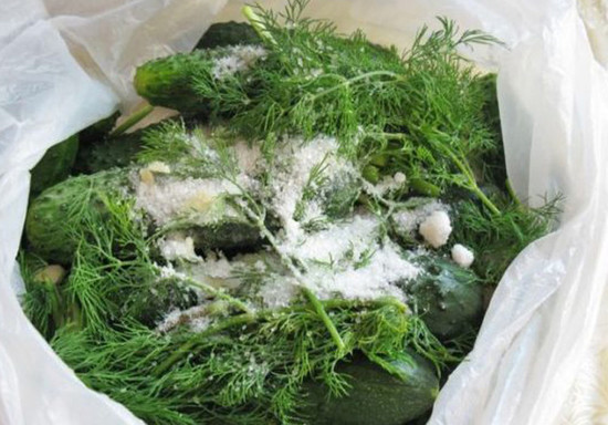 Малосольные огурцы в пакете – быстрый рецепт с чесноком и укропом, пошагово