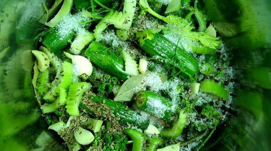 Малосольные огурцы в пакете – быстрый рецепт с чесноком и укропом, пошагово