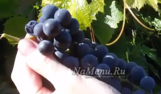 Виноградное вино в домашних условиях: простой рецепт с фото пошагово (видео)