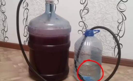 Виноградное вино в домашних условиях: простой рецепт с фото пошагово (видео)