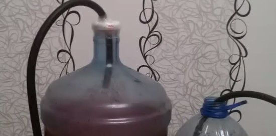 Виноградное вино в домашних условиях: простой рецепт с фото пошагово (видео)