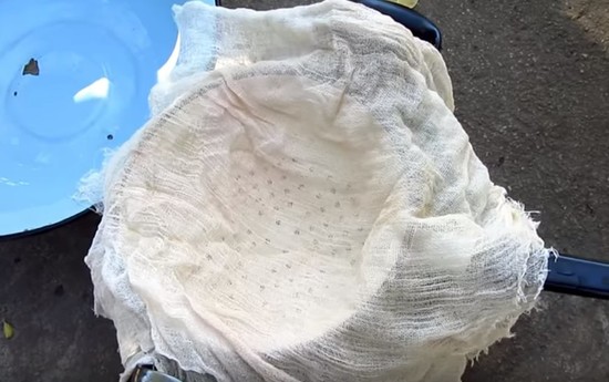 Виноградное вино в домашних условиях: простой рецепт с фото пошагово (видео)