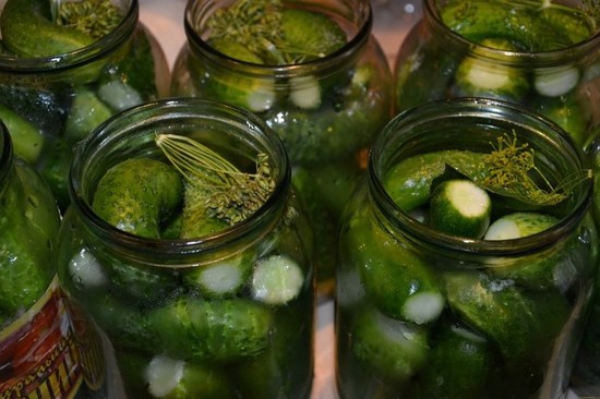 Консервирование огурцов на зиму очень вкусные в литровых банках: рецепты с фото