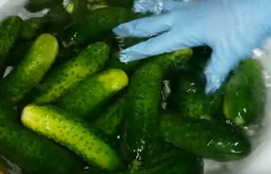 Консервирование огурцов на зиму очень вкусные в литровых банках: рецепты с фото