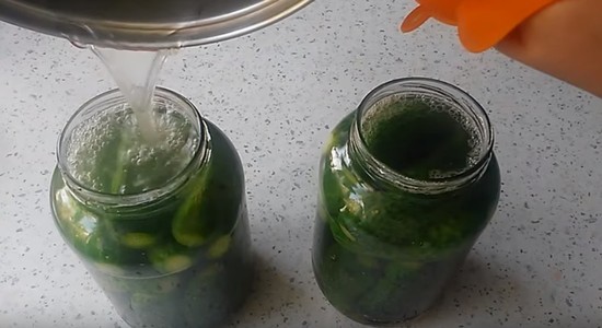 Консервирование огурцов на зиму очень вкусные в литровых банках: рецепты с фото
