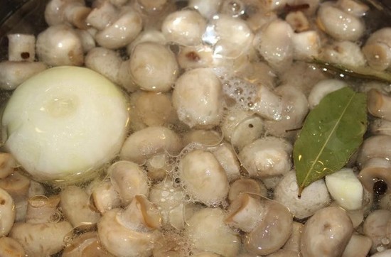 Маринованные шампиньоны в домашних условиях на зиму: быстро и вкусно, рецепт с фото пошагово (видео)
