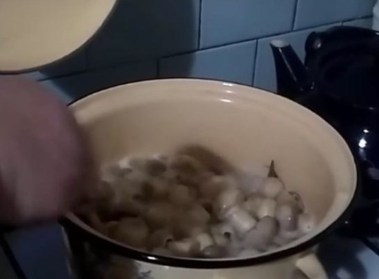 Маринованные шампиньоны в домашних условиях на зиму: быстро и вкусно, рецепт с фото пошагово (видео)
