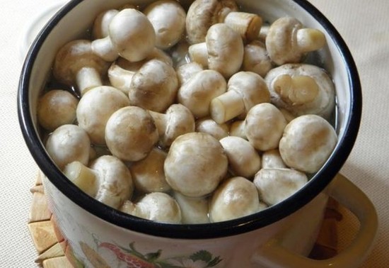 Маринованные шампиньоны в домашних условиях на зиму: быстро и вкусно, рецепт с фото пошагово (видео)
