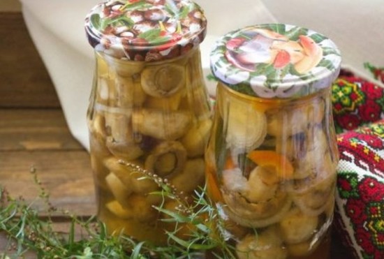 Маринованные шампиньоны в домашних условиях на зиму: быстро и вкусно, рецепт с фото пошагово (видео)