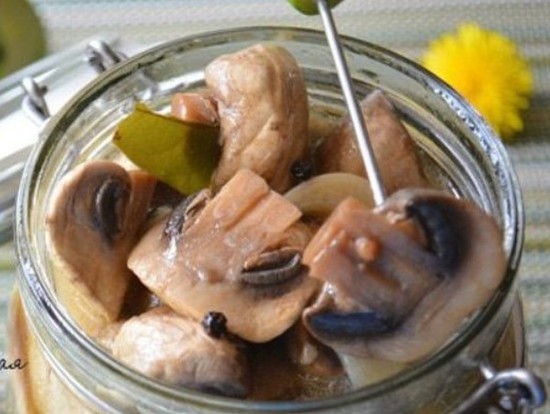 Маринованные шампиньоны в домашних условиях на зиму: быстро и вкусно, рецепт с фото пошагово (видео)