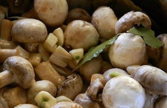 Маринованные шампиньоны в домашних условиях на зиму: быстро и вкусно, рецепт с фото пошагово (видео)