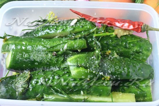 Малосольные огурцы в пакете — быстрый рецепт за 5 минут: рецепт с фото, вкусно