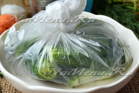 Малосольные огурцы в пакете — быстрый рецепт за 5 минут: рецепт с фото, вкусно