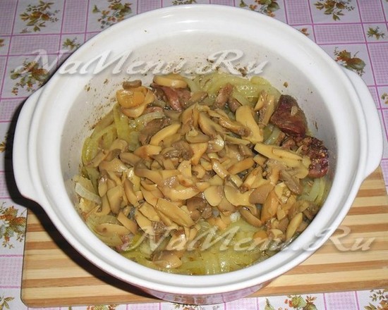 грибы