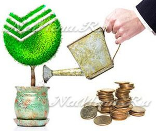 Вклад Сбербанка Новогодний 2022