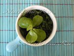 Суп-пюре из картофеля, огурцов и портулака
