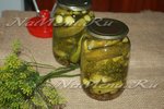 Засолка корнишонов на зиму