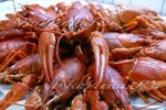 Вареные раки