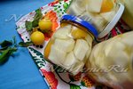 Патиссоны или кабачки с алычой (ананасы домашние)
