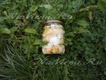 Грибы белые, маринованные на зиму
