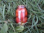 Помидоры на зиму с горчицей как свежие