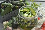 Малосольные огурцы с зеленью и чесноком